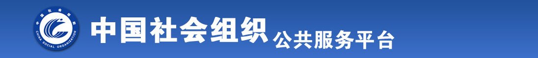 www.17c.top.8888全国社会组织信息查询